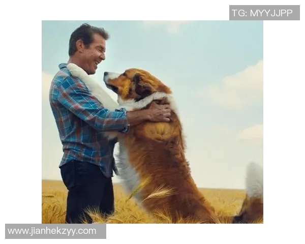 足球明星与狗狗的深厚情谊探秘与他们生活中的温暖瞬间